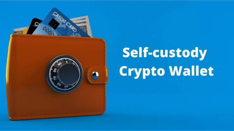 Self-Custody: Securely Store and Preserve Wealth On-Chain